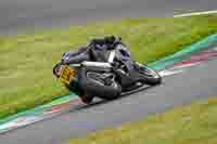 Advanced Group Black Bikes